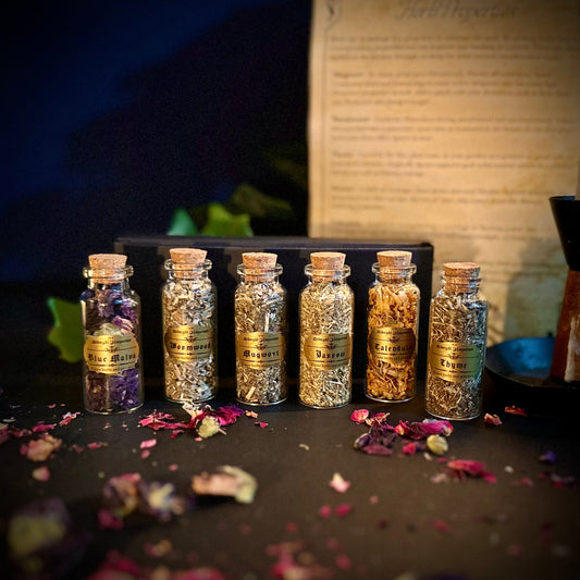Herb vial box set - set of 6 botanicals in glass vials with cork tops