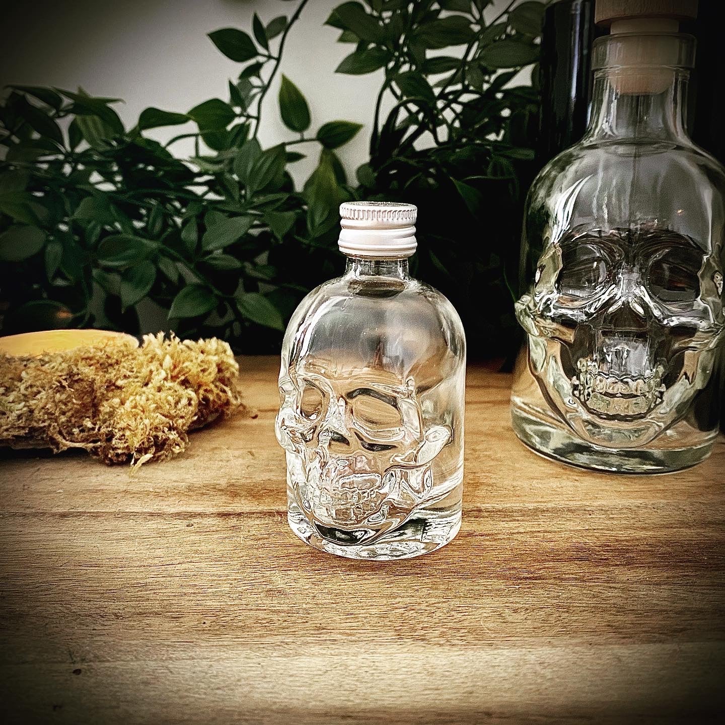 Skull Bottle