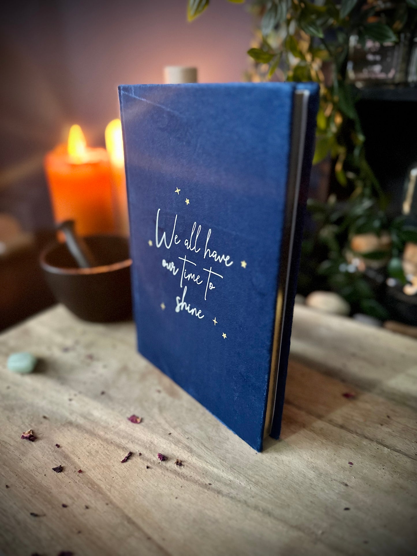 Velvet blue notebook - We all have our time to shine